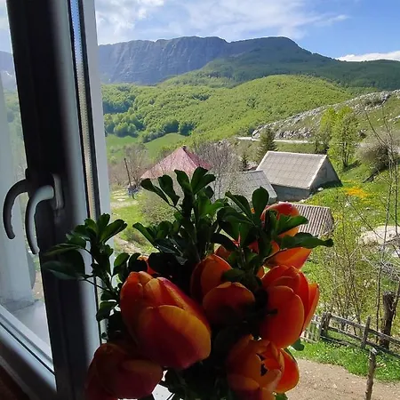 Cemerno Holiday home *